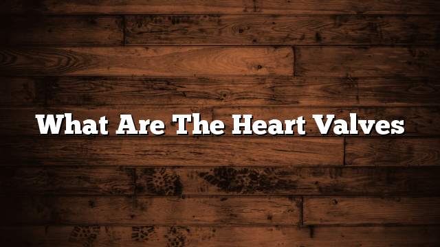 What are the heart valves