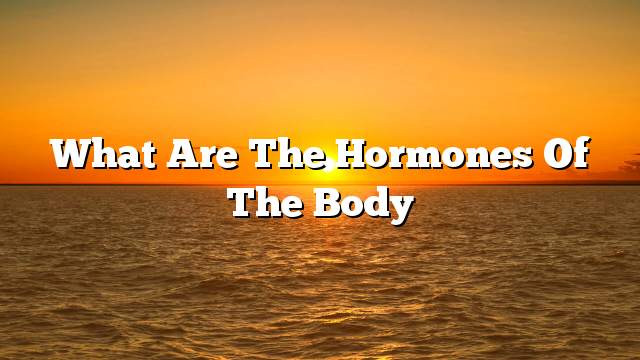 What are the hormones of the body