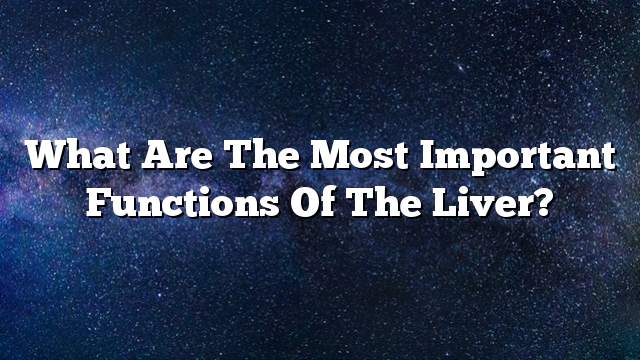 What are the most important functions of the liver?