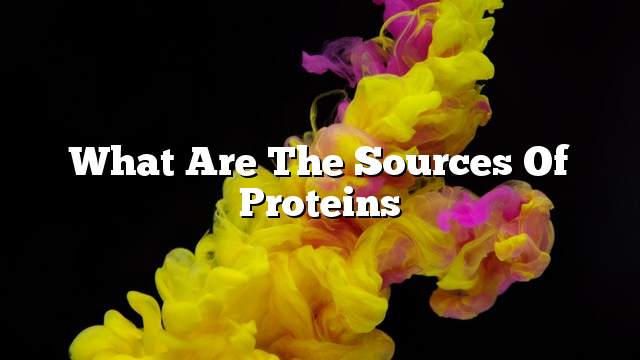 What are the sources of proteins