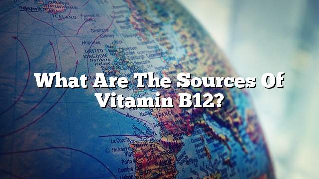 What are the sources of Vitamin B12?