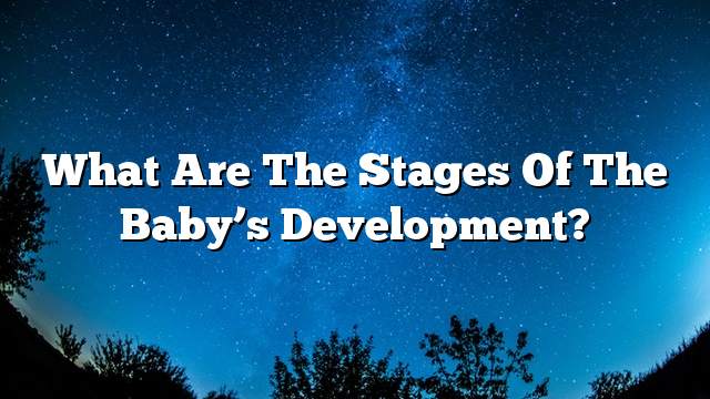 What are the stages of the baby’s development?