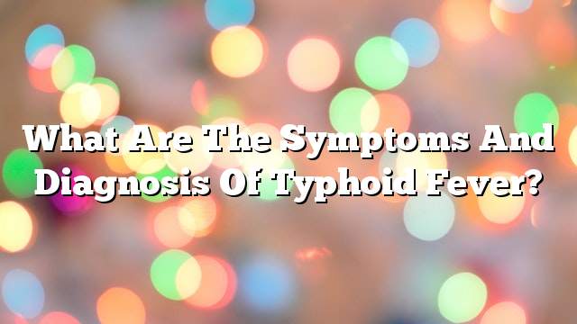 What are the symptoms and diagnosis of typhoid fever?