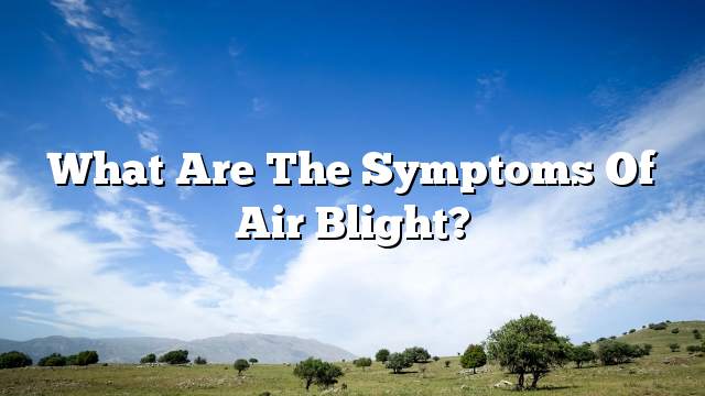 What are the symptoms of air blight?