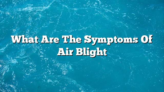 What are the symptoms of air blight