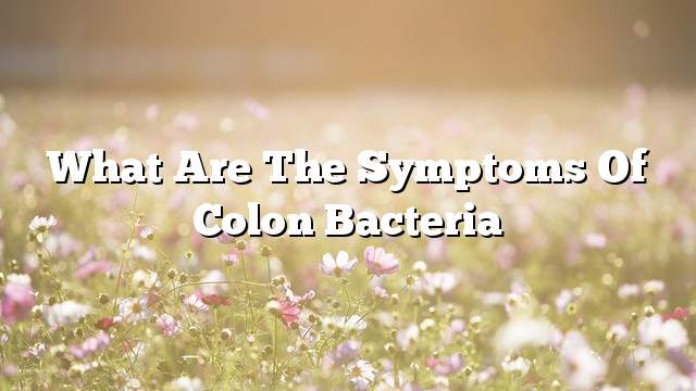 What are the symptoms of colon bacteria