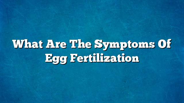 What are the symptoms of egg fertilization