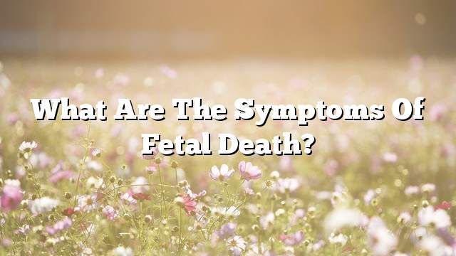 What are the symptoms of fetal death?