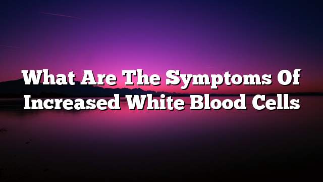 What are the symptoms of increased white blood cells