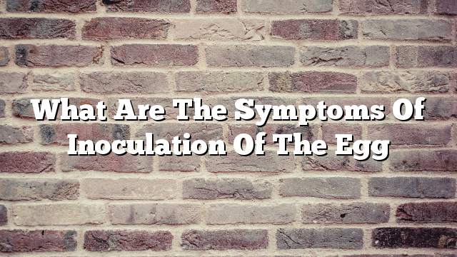 What are the symptoms of Inoculation of the egg