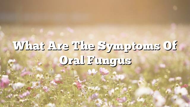 What are the symptoms of oral fungus