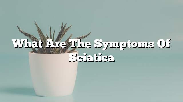 What are the symptoms of sciatica