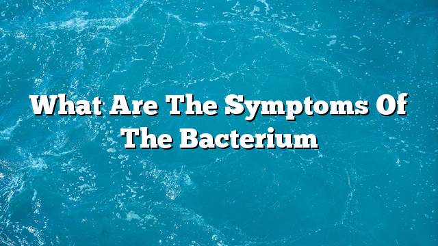 What are the symptoms of the bacterium