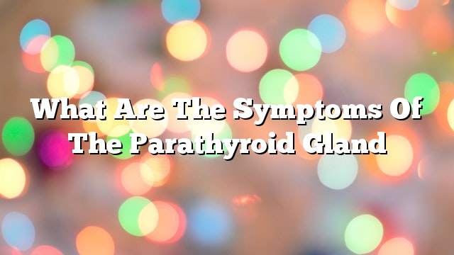 What are the symptoms of the parathyroid gland