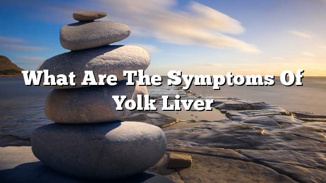 What are the symptoms of yolk liver