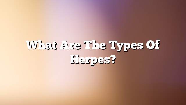 What are the types of herpes?