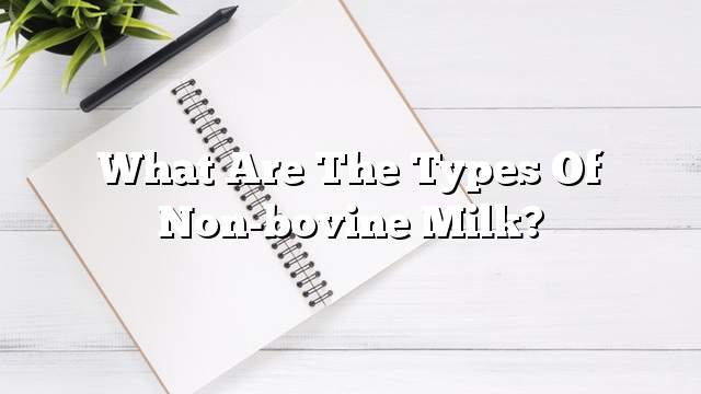 What are the types of non-bovine milk?