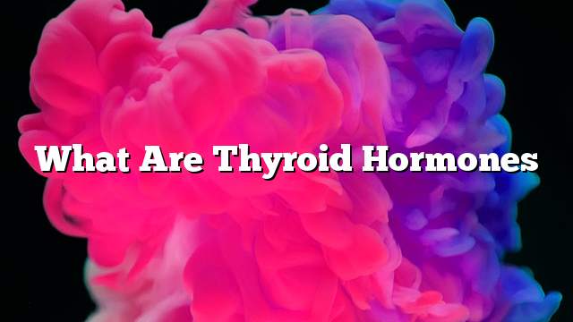 What are thyroid hormones