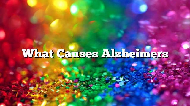 What Causes Alzheimers