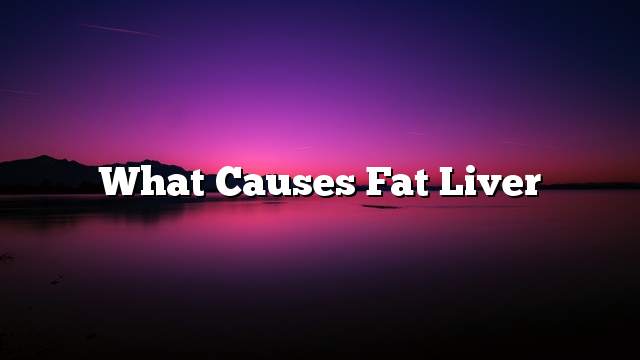 What Causes Fat Liver