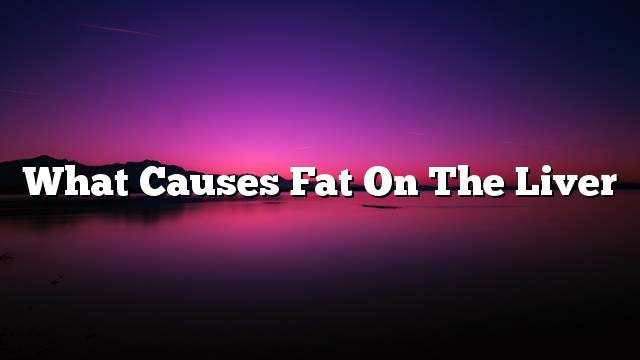 What causes fat on the liver