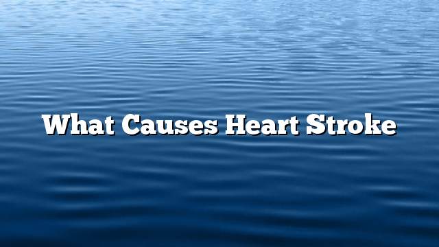 What causes heart stroke