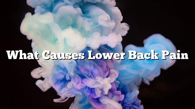 What causes lower back pain