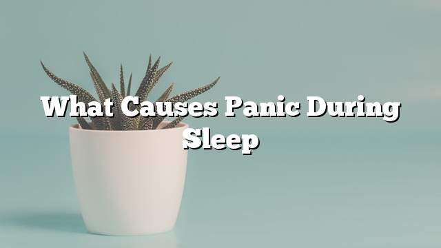 What causes panic during sleep