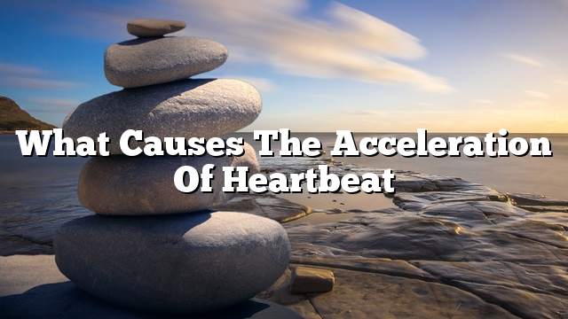 What causes the acceleration of heartbeat