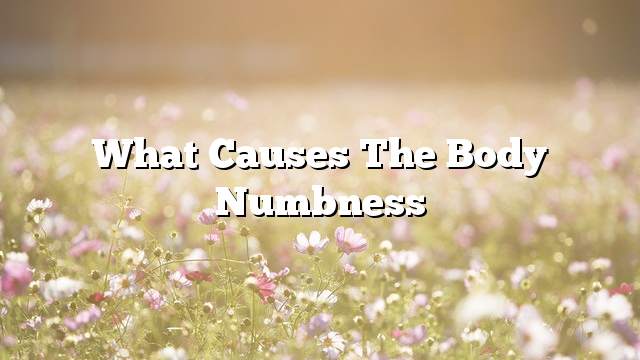 What causes the body numbness