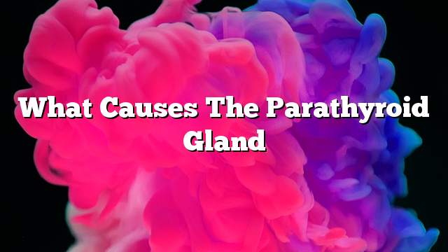 What causes the parathyroid gland