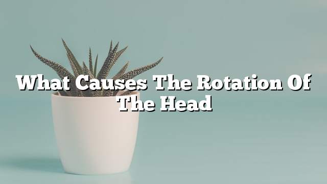 What causes the rotation of the head