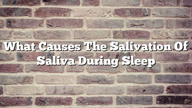 what-causes-the-salivation-of-saliva-during-sleep-on-the-web-today