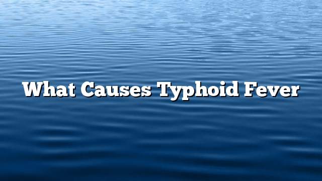 What causes typhoid fever