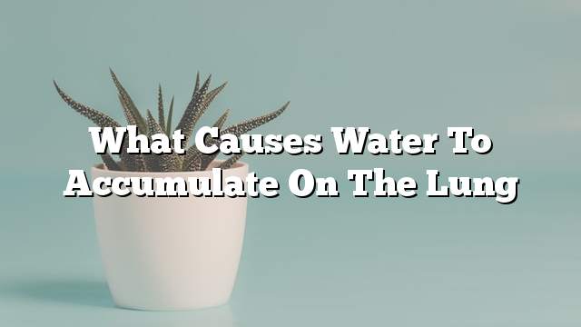 What causes water to accumulate on the lung