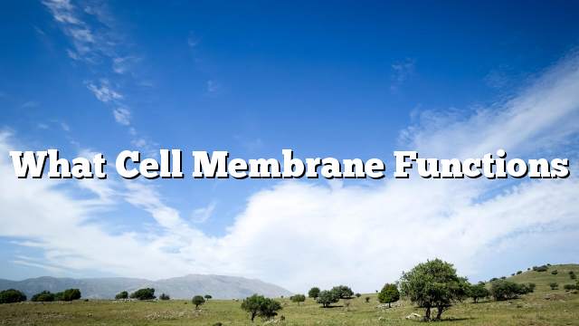 What cell membrane functions