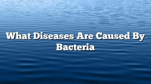 What diseases are caused by bacteria