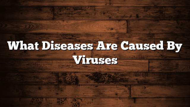 What diseases are caused by viruses