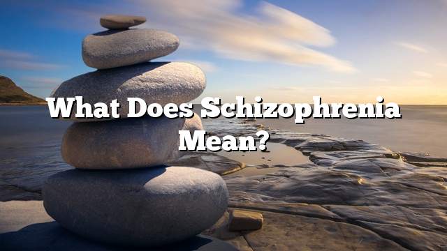 What does schizophrenia mean?
