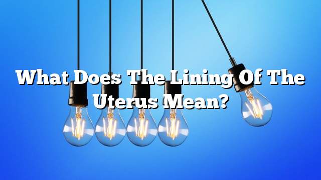 What does the lining of the uterus mean?