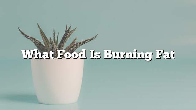 What food is burning fat