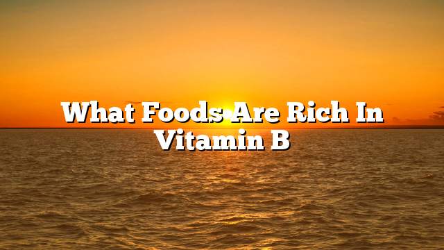 What Foods Are Rich In Vitamin B