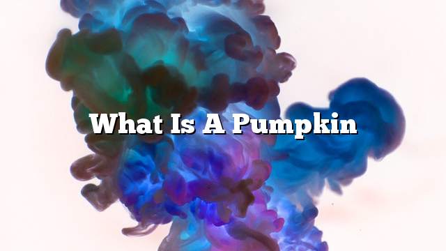 What is a pumpkin