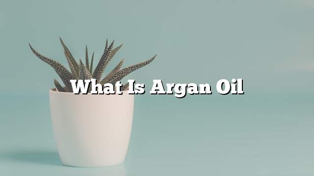 What is Argan oil