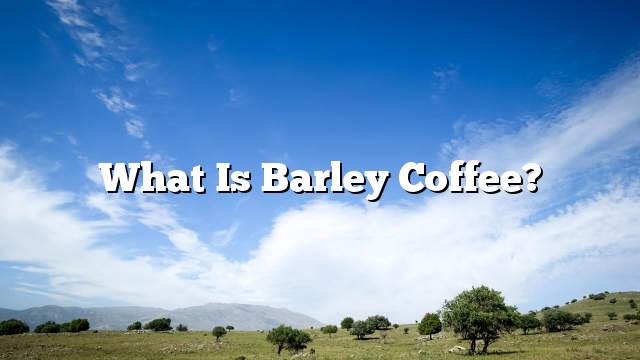 What is barley coffee?