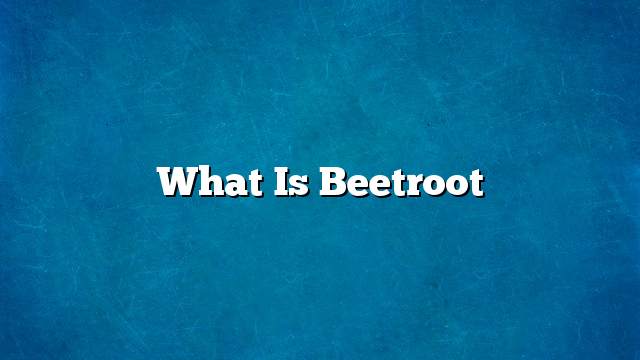 What is Beetroot