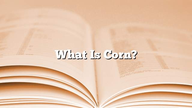 What is corn?