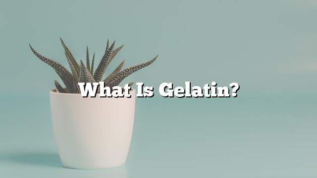 What is gelatin?