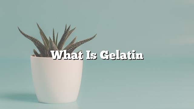 What is gelatin