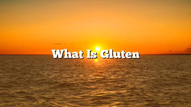 What is gluten